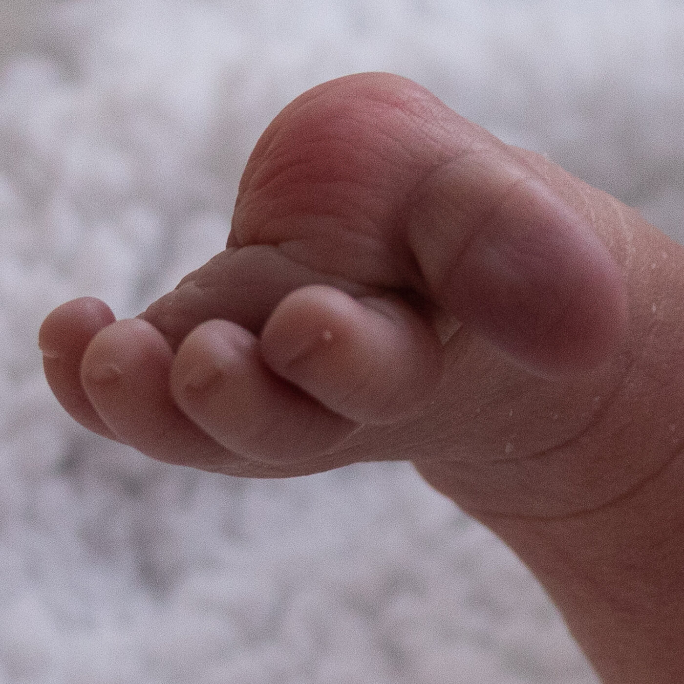 Newborn portret met rekwisieten