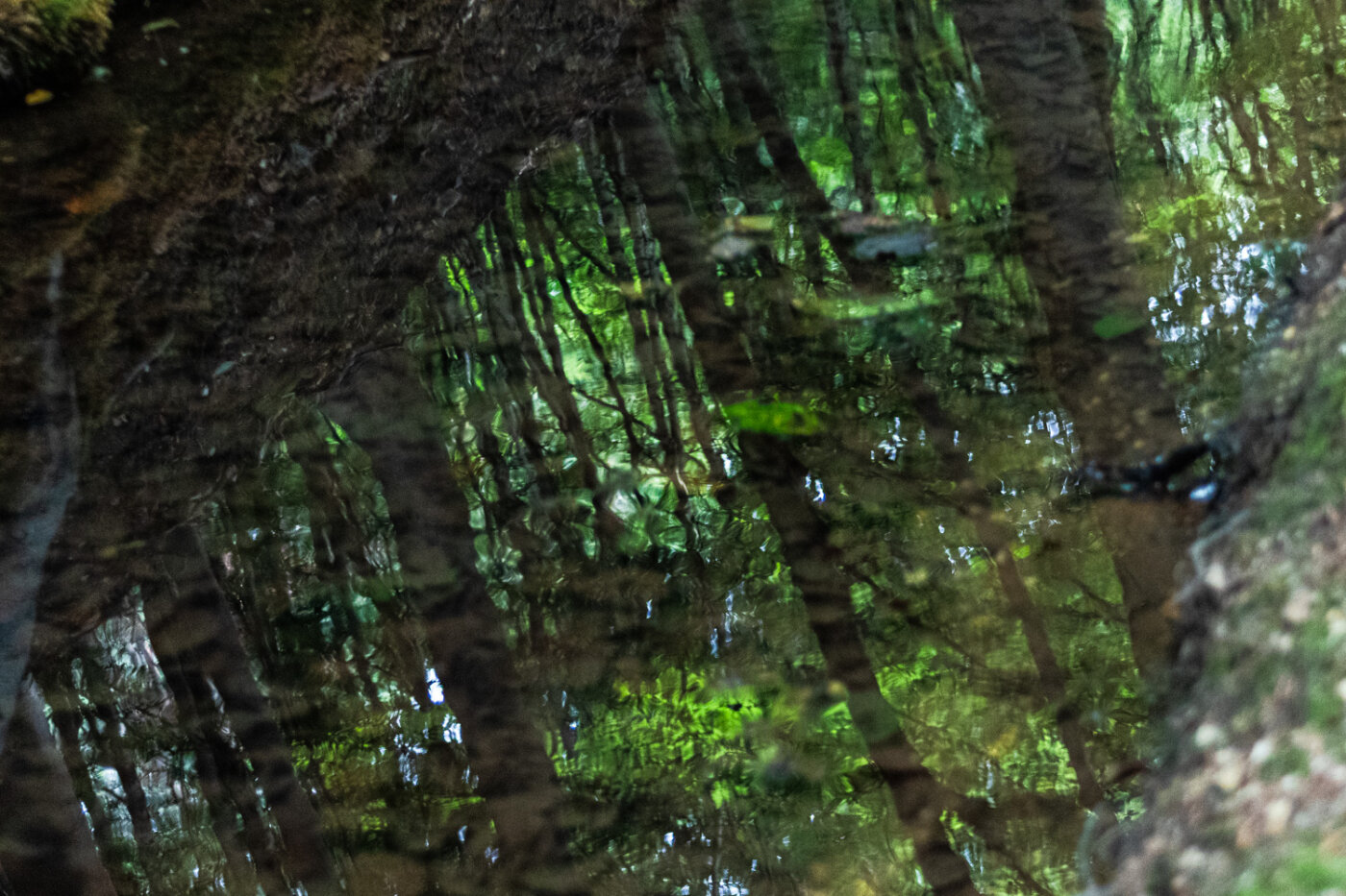 Sfeervolle natuurfoto