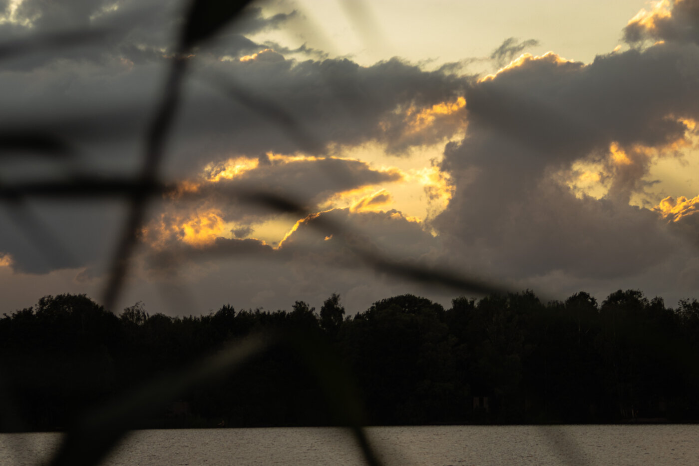 Creatief vrij werk fotografie